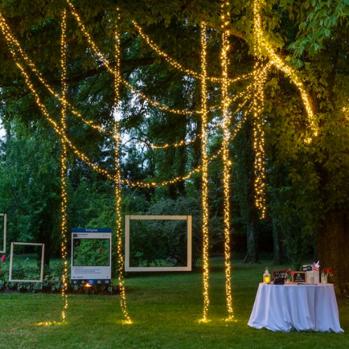 GHIRLANDA LUMINOSA 9,1m – 432 LED BIANCO CALDO - immagine 5
