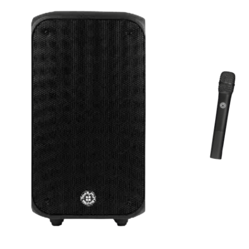 Topp Pro Play-100 - Cassa a Batteria 200W