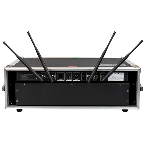 Sistema wireless Leicozic – 2 canali - immagine 2